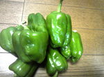 090915-3.jpg
