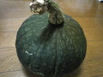 090915-5.jpg