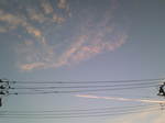 100809.jpg
